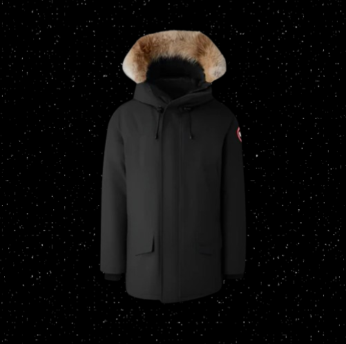 Goose Puffer